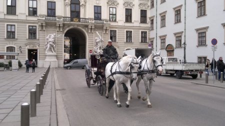 Wiener Kutscher